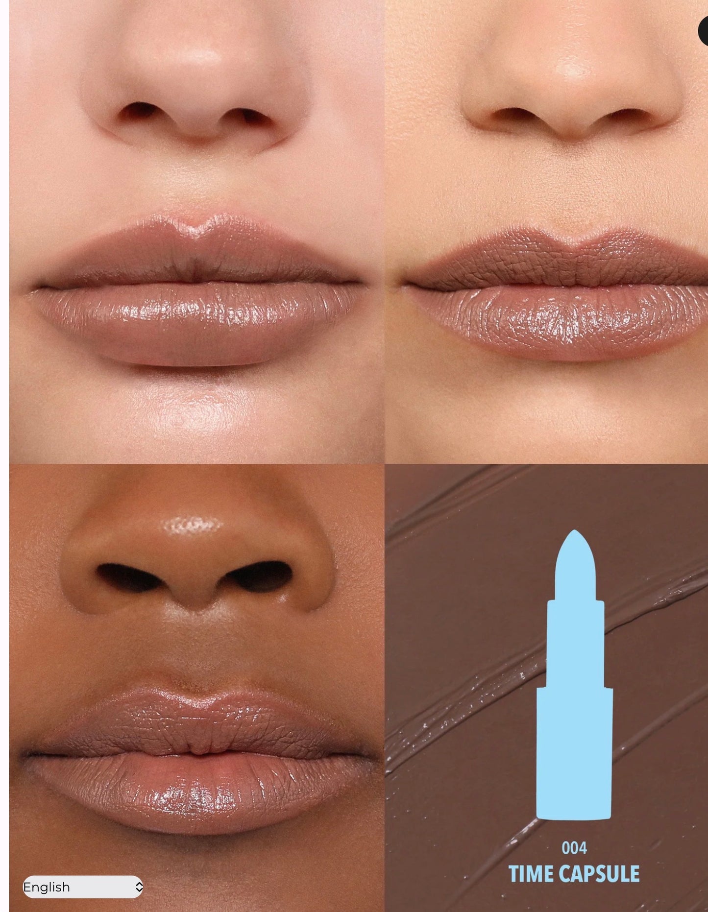 CHIC SATIN LIPSTICK (004, TIME CAPSULE)