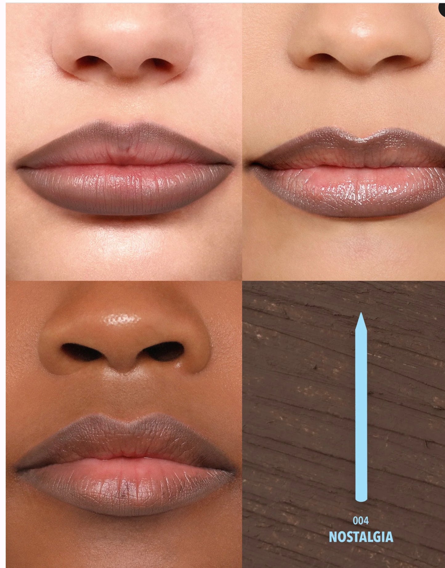 LIP CHIC LINER (004, NOSTALGIA)