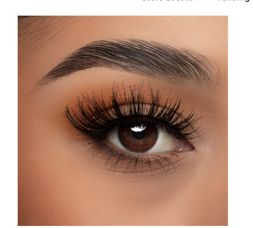 Evalynn the makeup shack