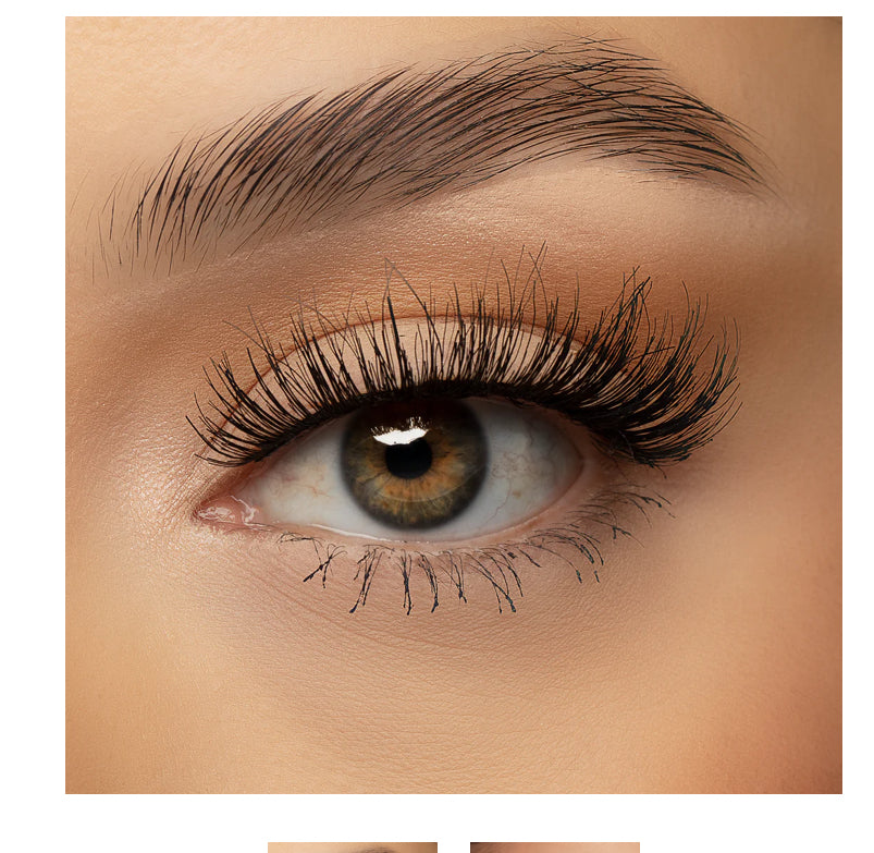 Evalynn the makeup shack